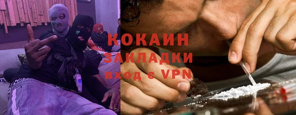 дмт Алексин