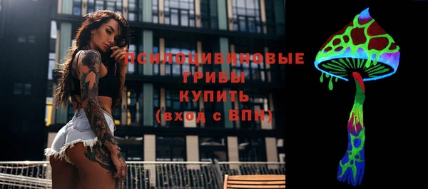 дмт Алексин